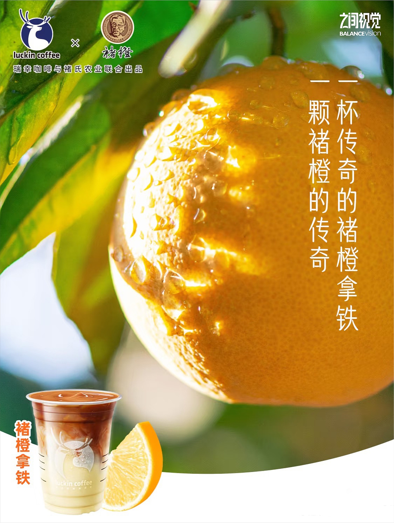 你可能不认识我,但你一定见过我拍的褚橙