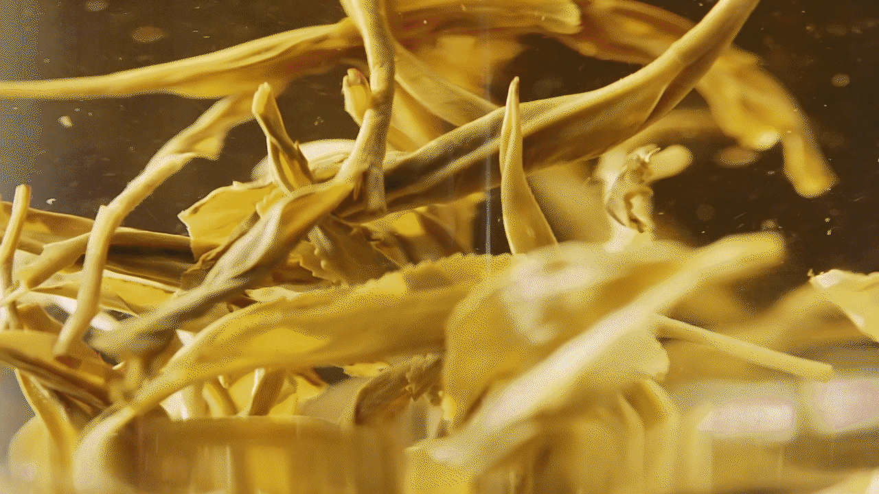 morphy richards｜摩飞即热茶饮机产品视频（图ZMzk2Mjc4OTM2） - 宣传片 - 站酷设计师承与承文化原创素材 - 站酷ZCOOL