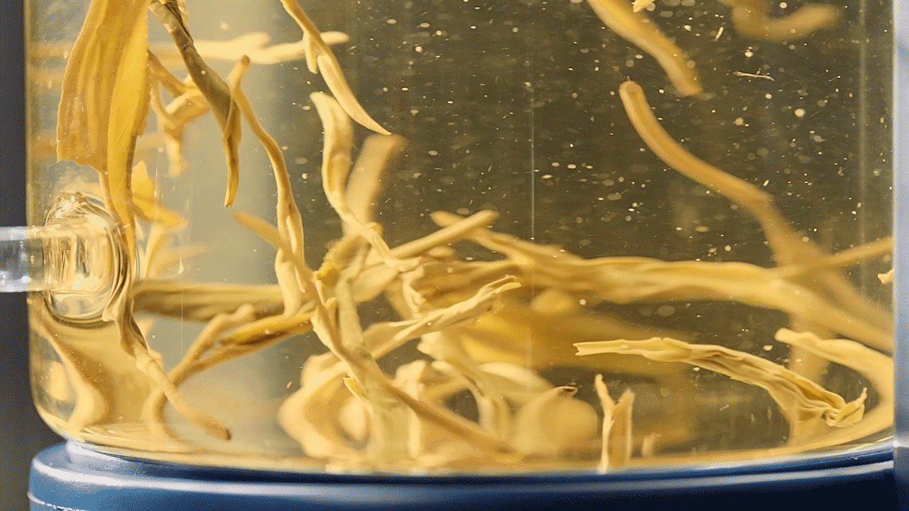 morphy richards｜摩飞即热茶饮机产品视频（图ZMzk2Mjc4OTMy） - 宣传片 - 站酷设计师承与承文化原创素材 - 站酷ZCOOL