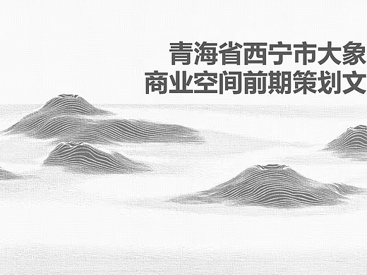 2024西宁市大象城非标商业空间前期策划规划设计案