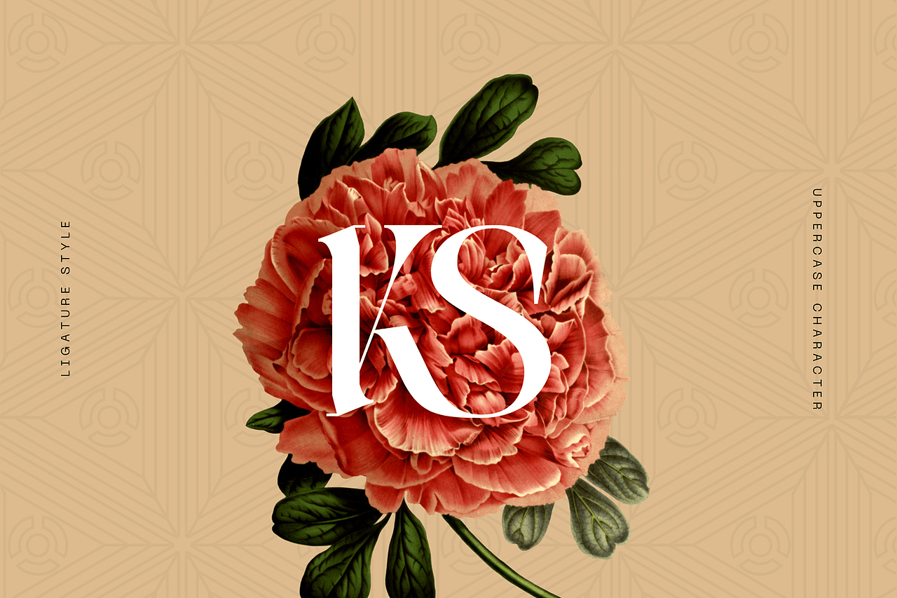 时尚奢侈品牌商标logo标志广告海报包装衬线英文字体（图ZMzk2Mjg5OTYw） - 字体/字形 - 站酷设计师最西文集原创素材 - 站酷ZCOOL