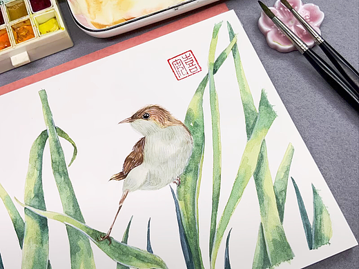 芦苇