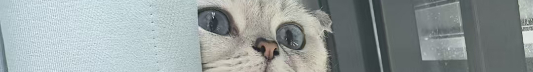 Qiann_的个人主页（封面预览） - 主页封面设置 - 站酷设计师Qiann_原创素材 - 站酷ZCOOL