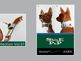 品牌VI系统