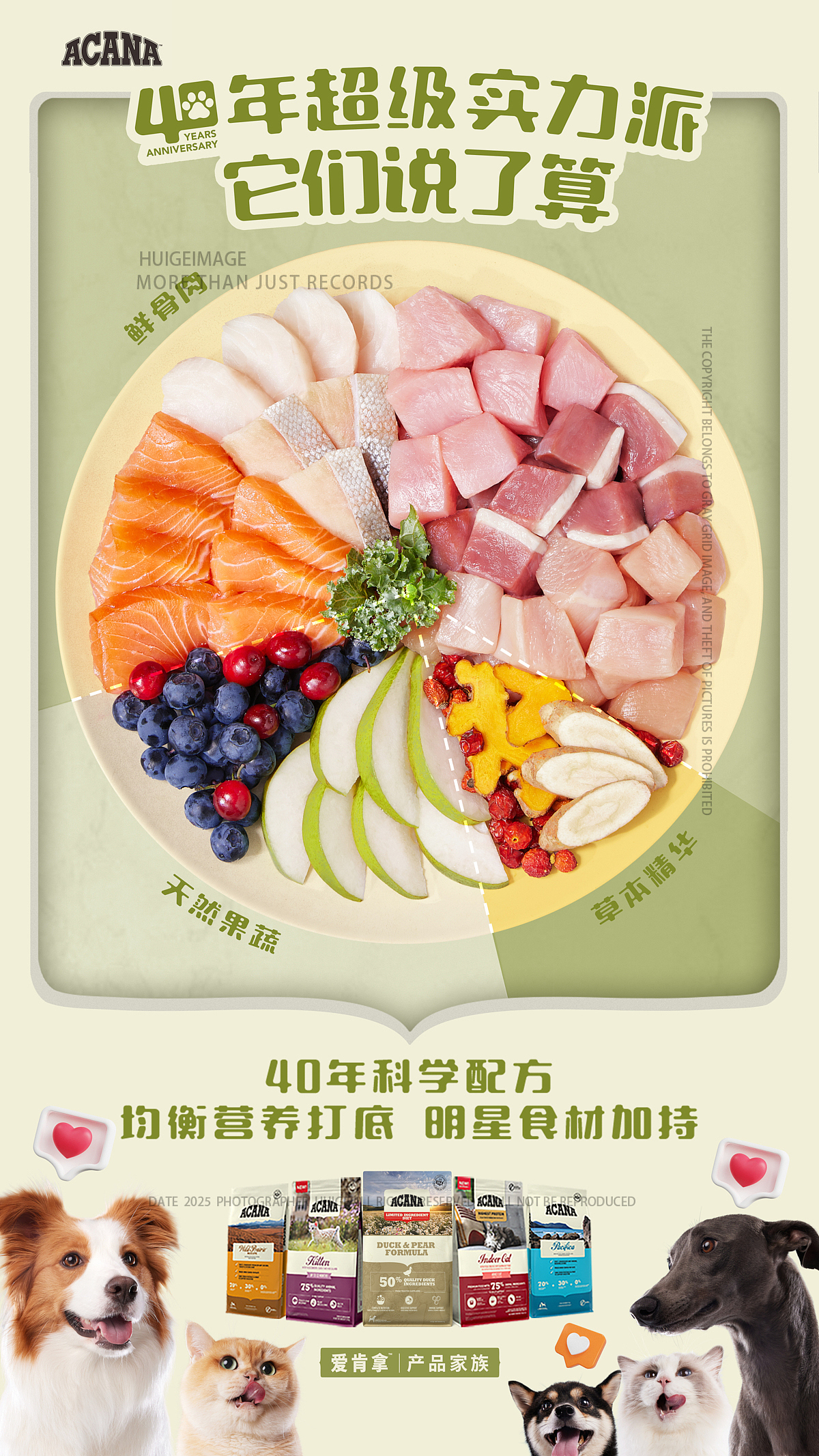 ACANA爱肯拿40周年KV物料拍摄（图ZMzk2MzEyNTg4） - 宠物摄影 - 站酷设计师灰格影像原创素材 - 站酷ZCOOL