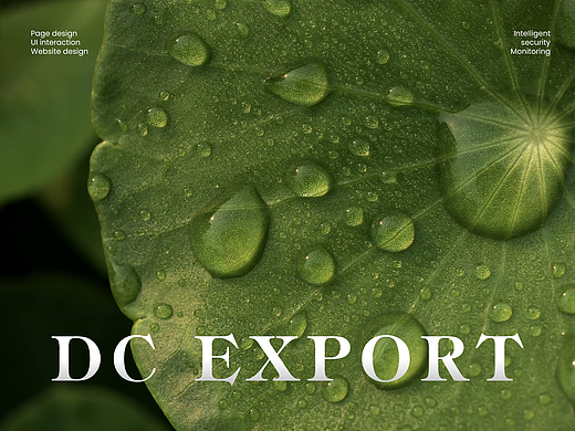 DC EXPORT网站设计丨互橙文化