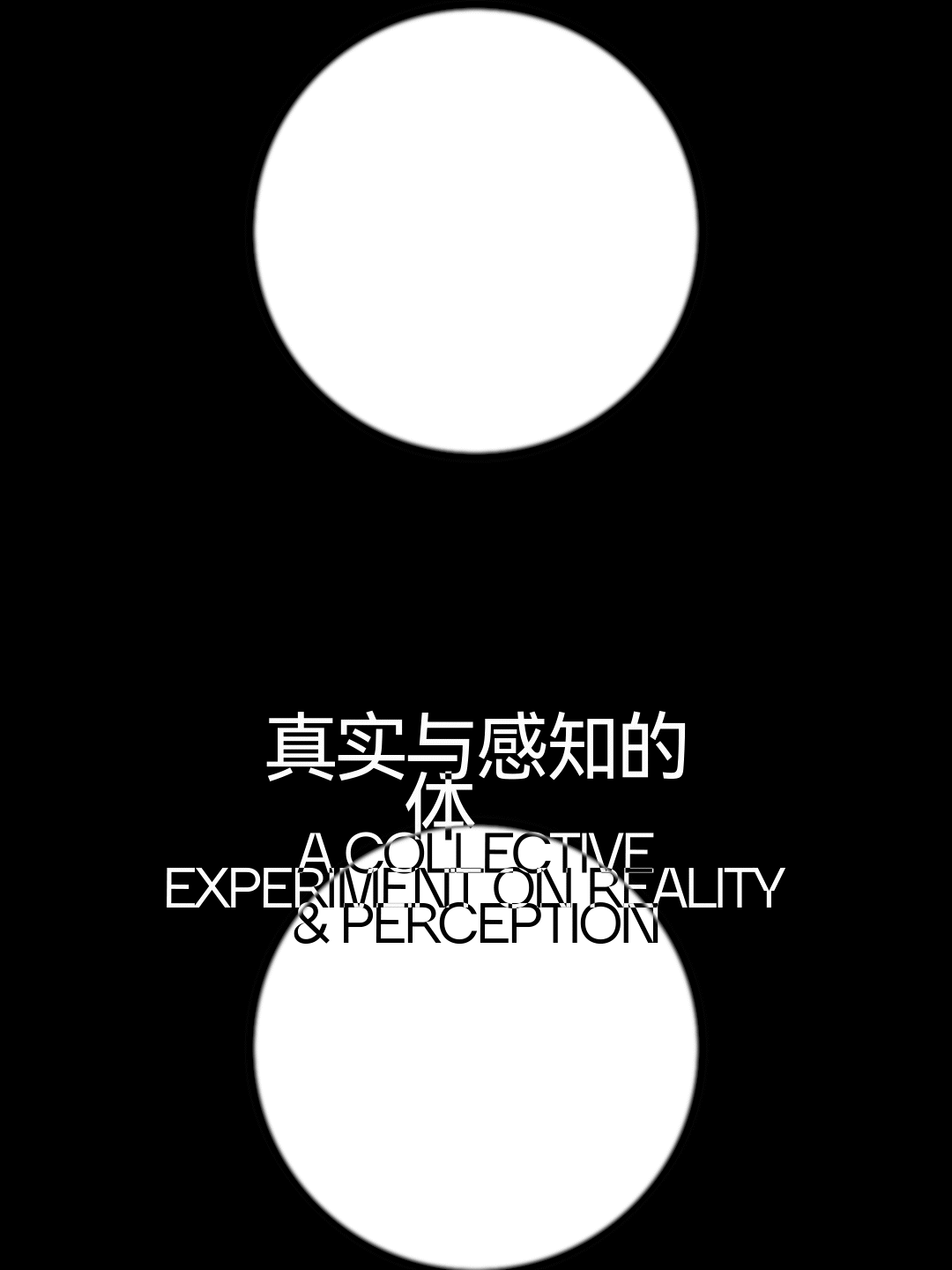 动态海报展示