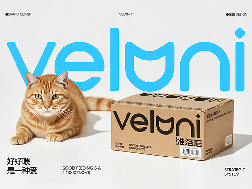 VELONI品牌设计·猫粮 品牌