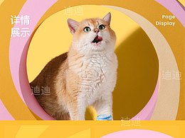 小元汽罐头详情页设计