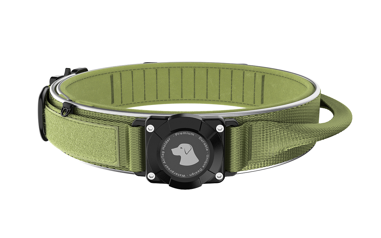 狗项圈建模渲染[A+主图]（图ZMzk2MzQyMDIw） - 其他三维 - 站酷设计师凡达视觉原创素材 - 站酷ZCOOL