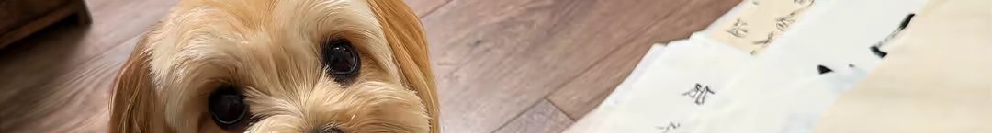 Z171497432的个人主页（封面预览） - 主页封面设置 - 站酷设计师Z171497432原创素材 - 站酷ZCOOL