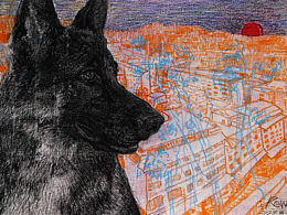 “The sun comes out??