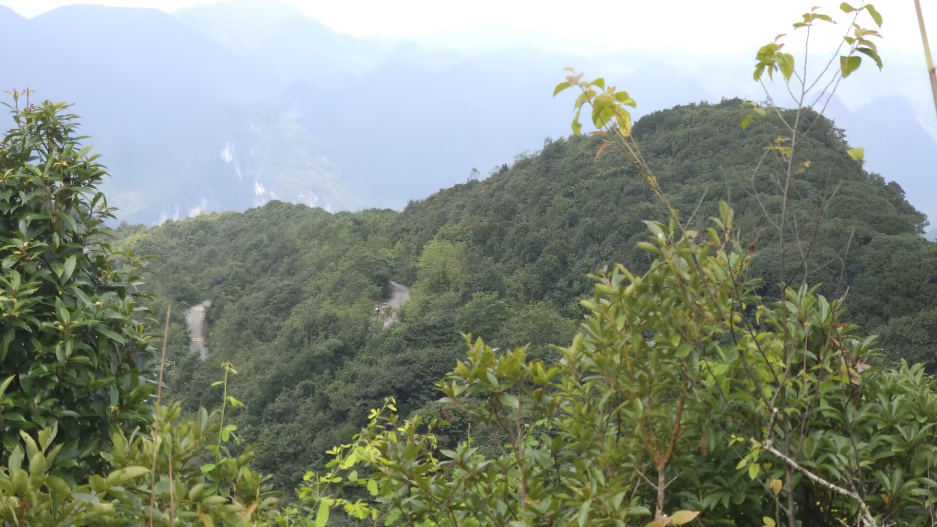 桂西之巅——岑王老山