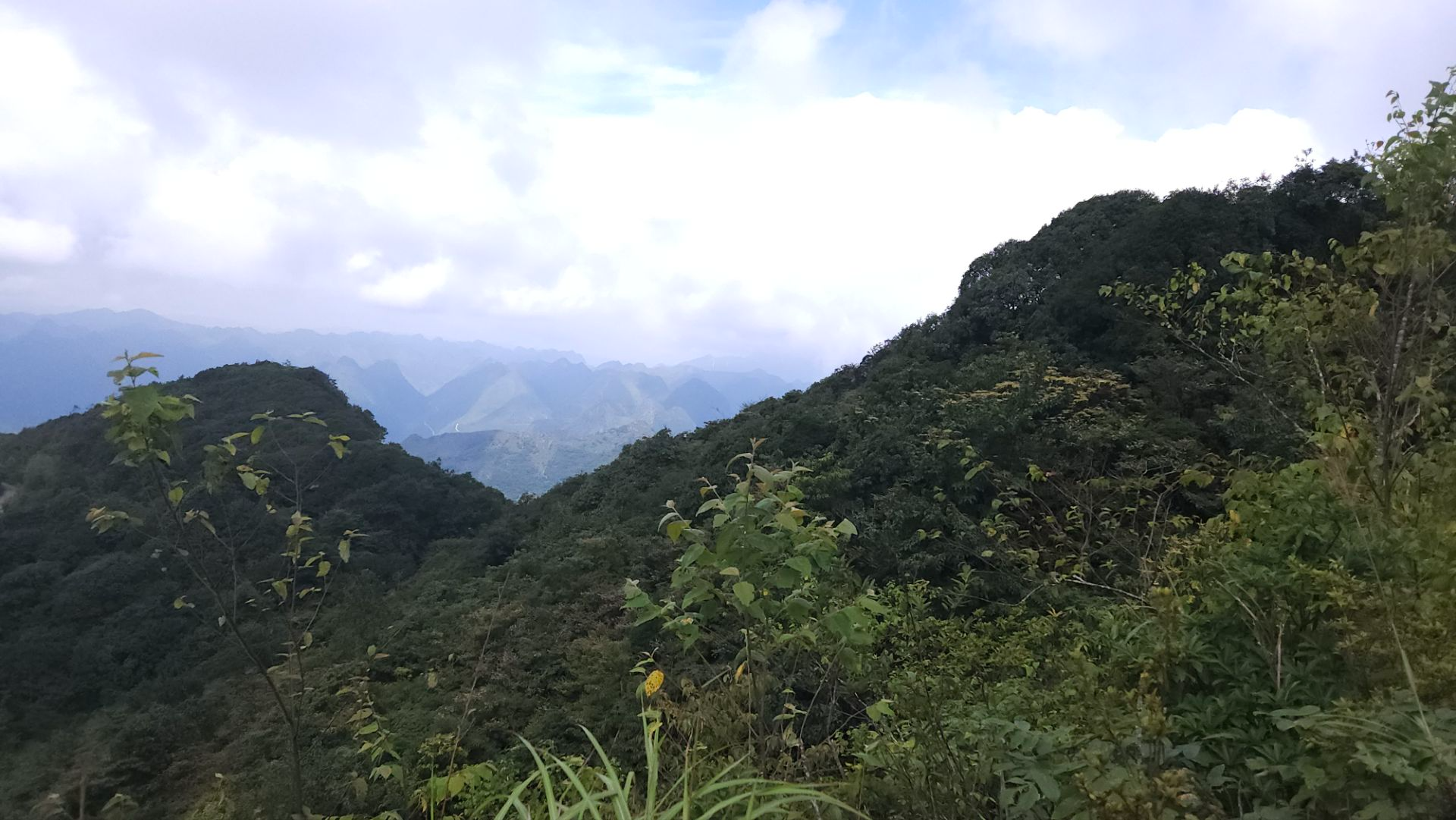 桂西之巅——岑王老山