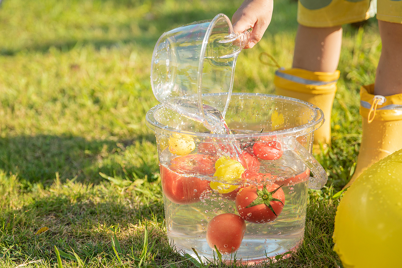 【儿童写真】六岁和西红柿