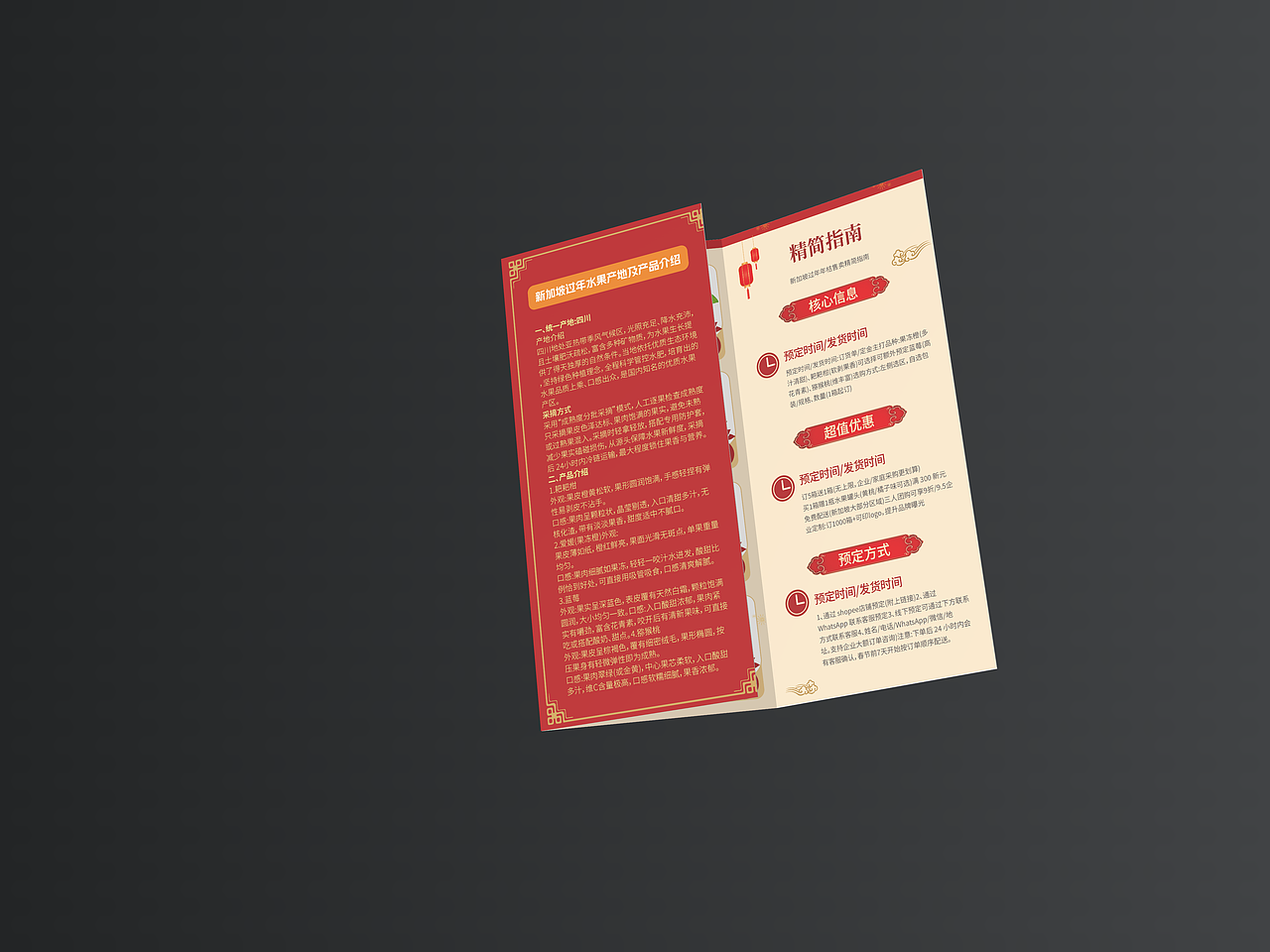 橘子三折页·新春元素·宣传