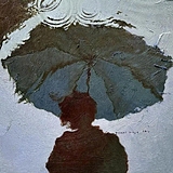 秋雨rains的头像