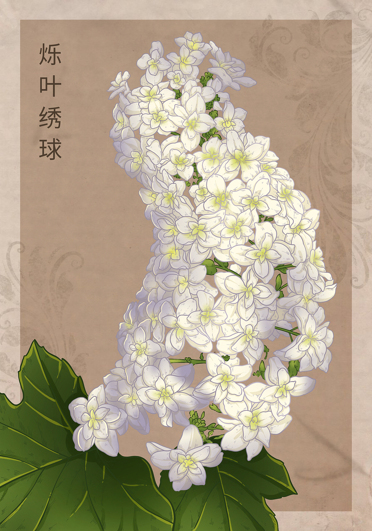 复古风花卉系列（上）（图ZMzk2NDUyODE2） - 商业插画 - 站酷设计师会画画的云原创素材 - 站酷ZCOOL