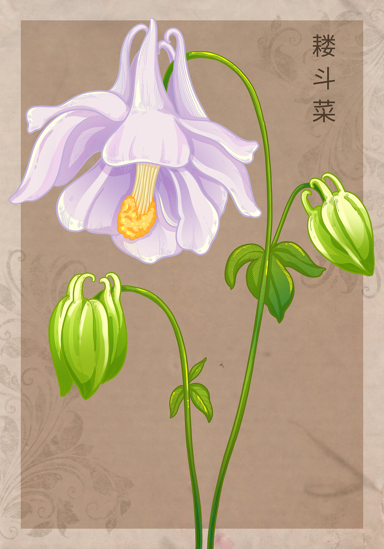 复古风花卉系列（上）（图ZMzk2NDUyODUy） - 商业插画 - 站酷设计师会画画的云原创素材 - 站酷ZCOOL