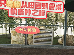 辣椒vr互动科普体验
