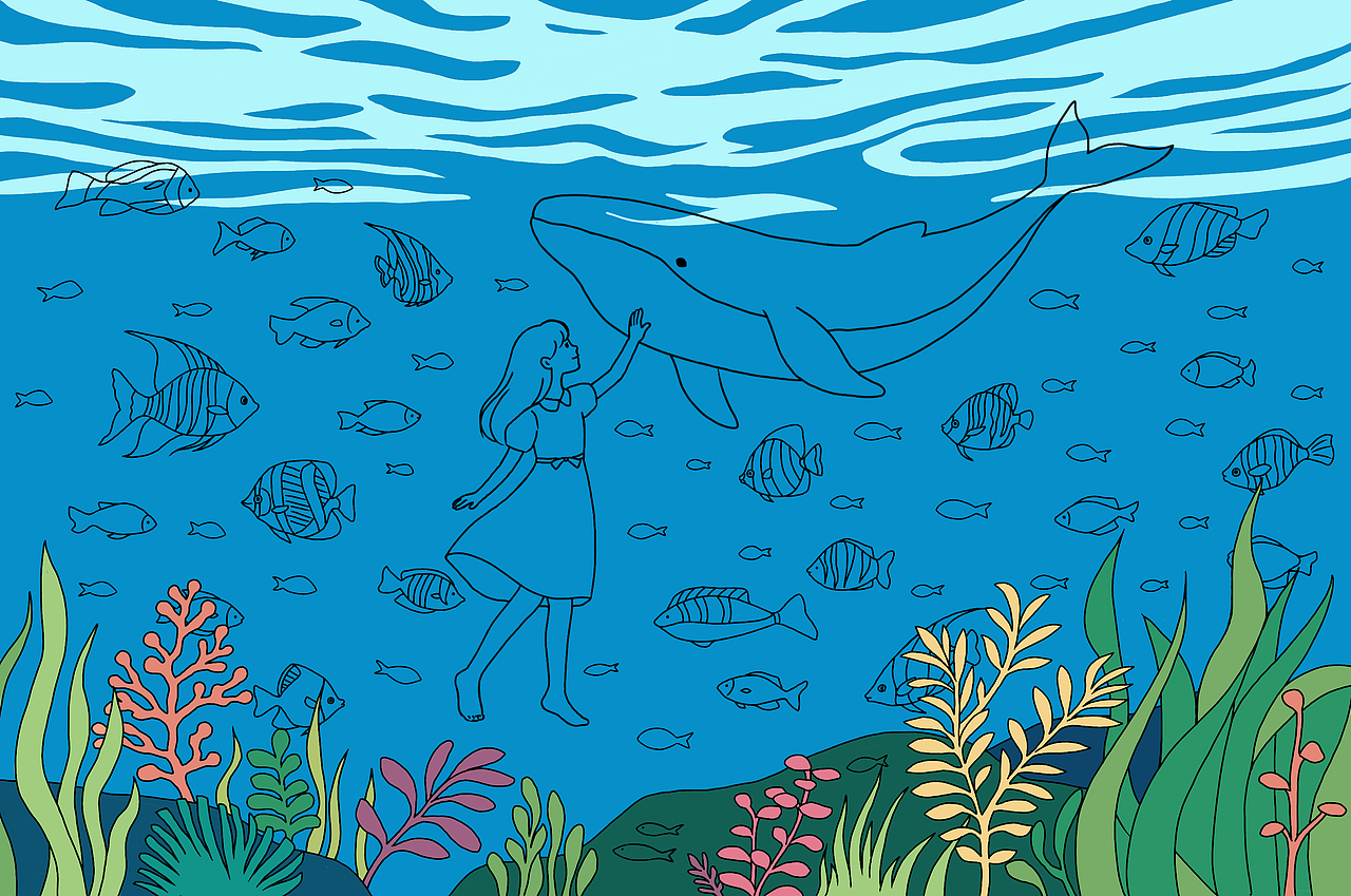 海洋场景插画｜附过程图教程