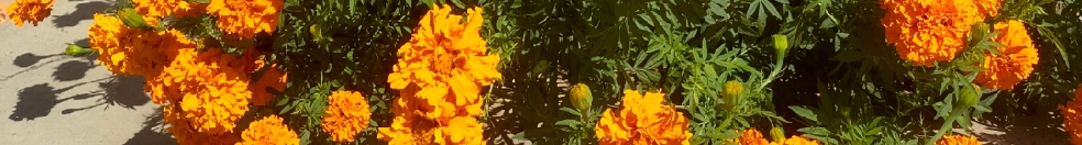 putaoputao的个人主页（封面预览） - 主页封面设置 - 站酷设计师putaoputao原创素材 - 站酷ZCOOL