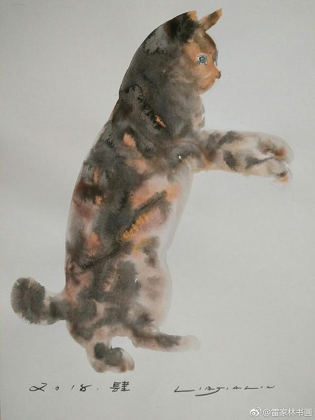 雷家林水彩画猫