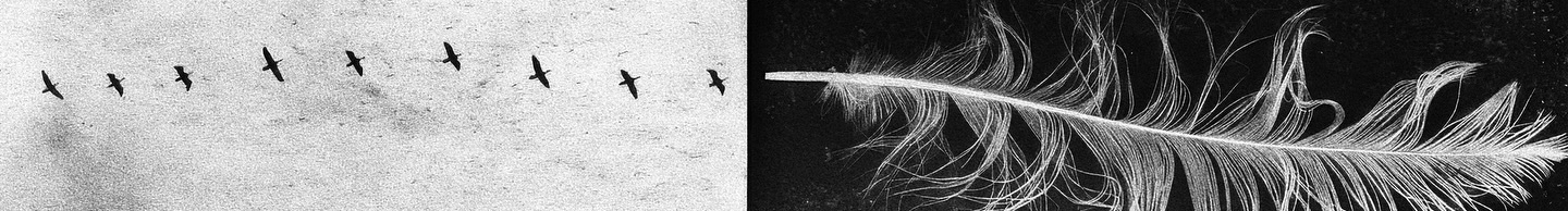 不繫之舟的個人主頁（封面預(yù)覽） - 主頁封面設(shè)置 - 站酷設(shè)計師不繫之舟原創(chuàng)素材 - 站酷ZCOOL