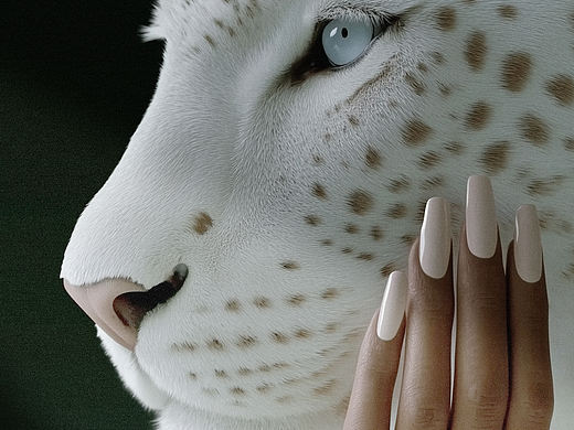 解构·Cartier｜雪域光芒 指尖君王