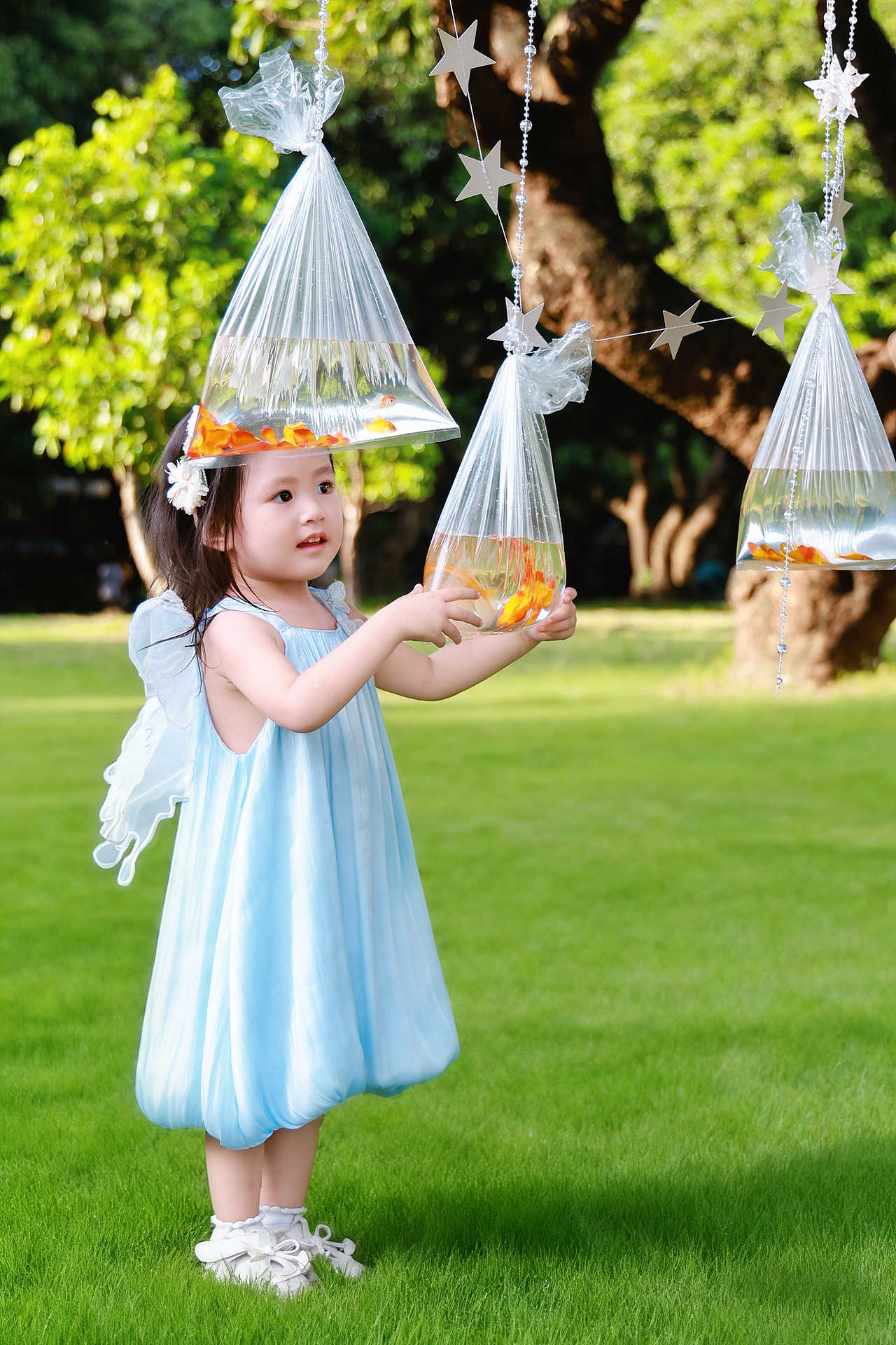 小公主和它的金鱼