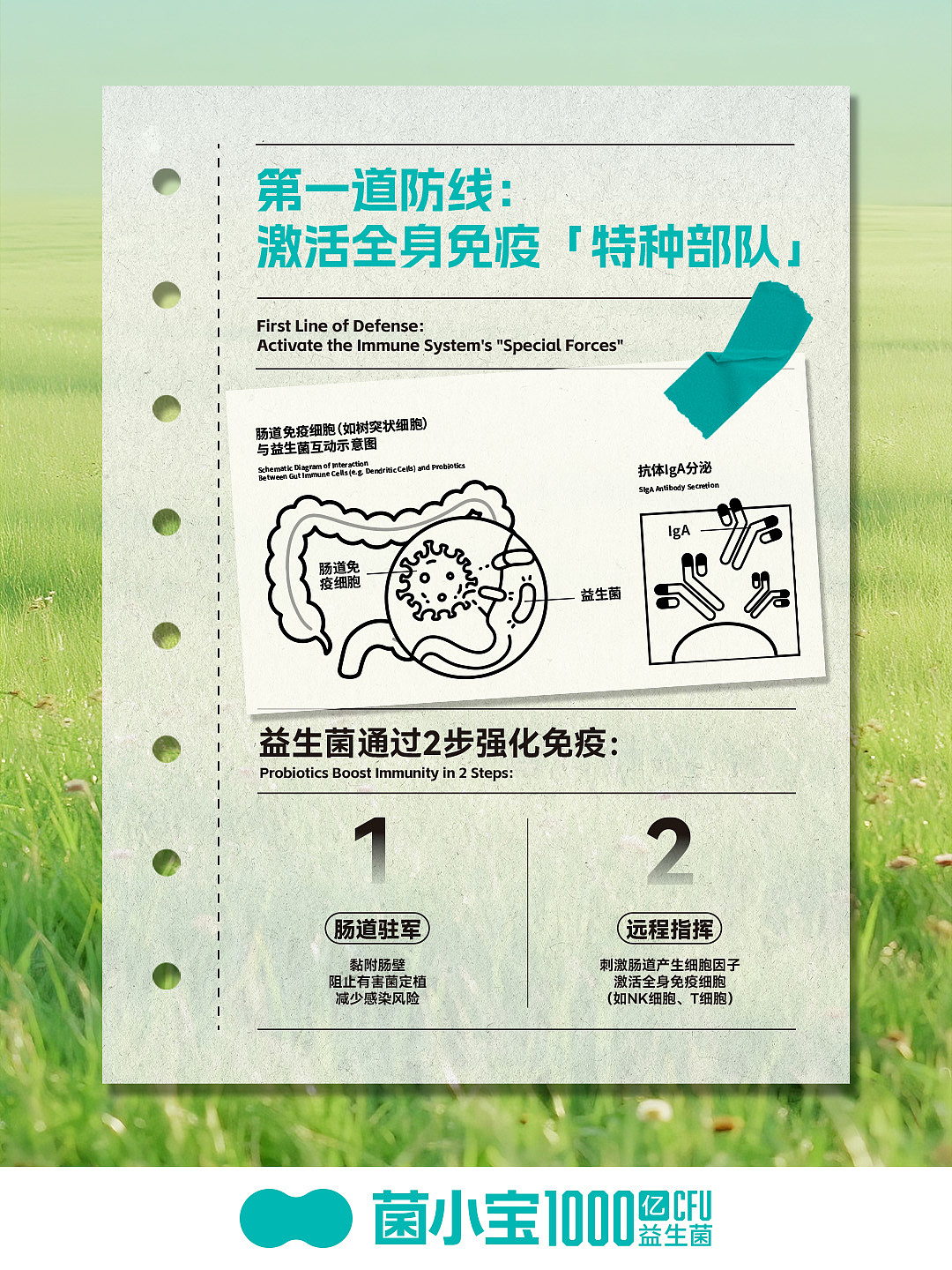 公众号配图|菌小宝益生菌