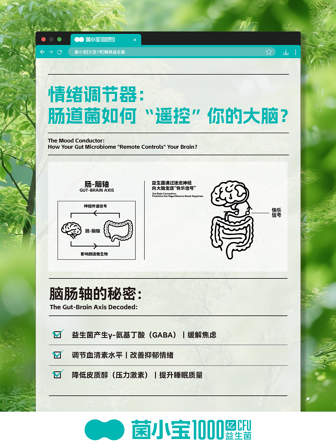 公众号配图|菌小宝益生菌