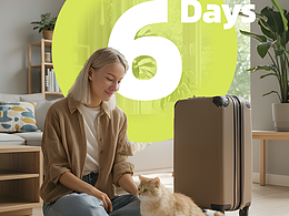 电商宠物详情页  宠物喝水器  亚马逊主图设计 