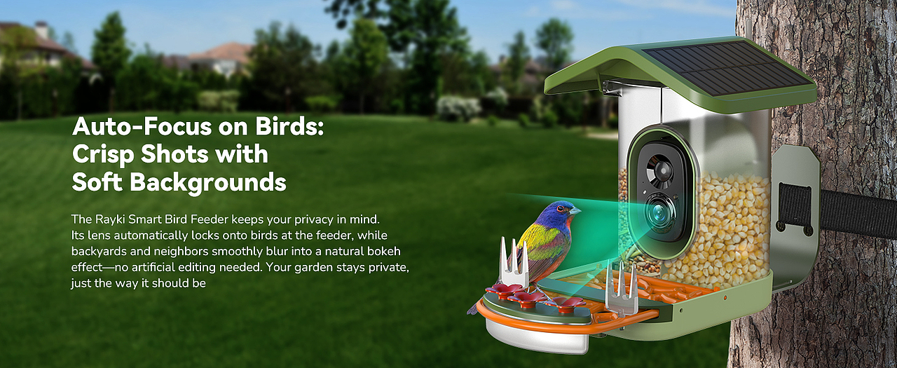 太阳能屋顶喂鸟器