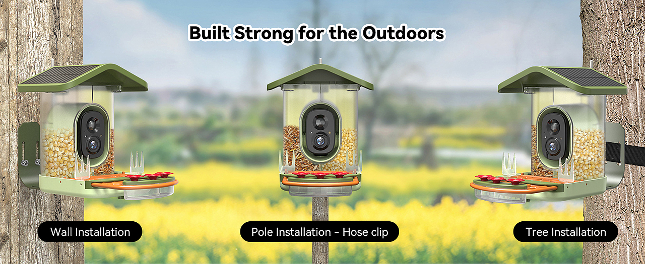 太阳能屋顶喂鸟器