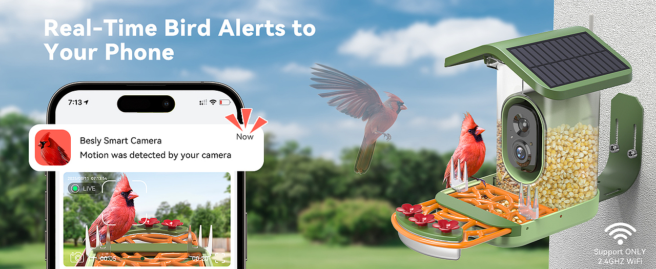 太阳能屋顶喂鸟器