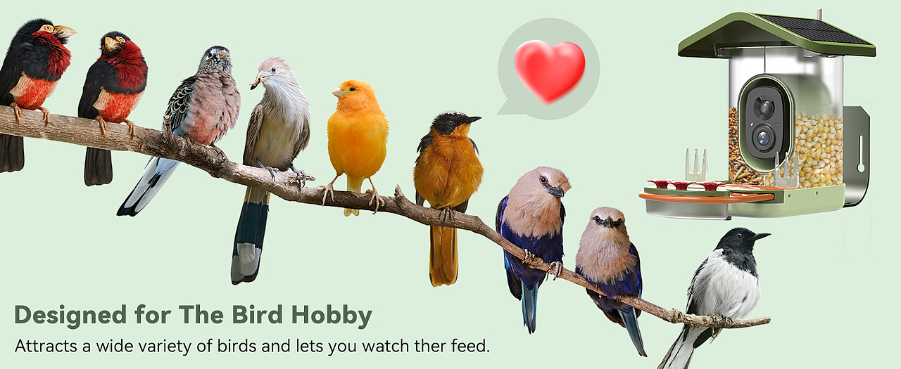 太阳能屋顶喂鸟器