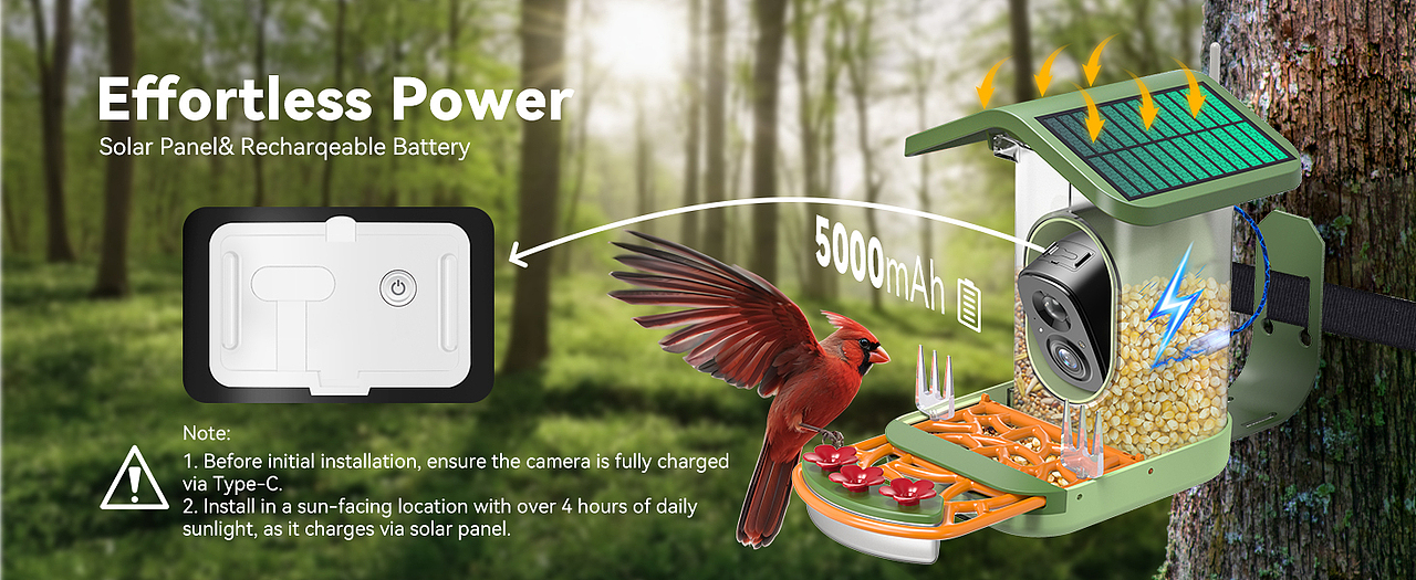 太阳能屋顶喂鸟器