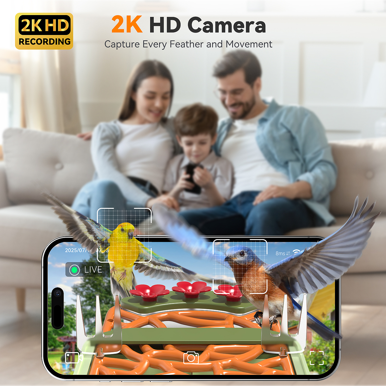 双层屋顶喂鸟器