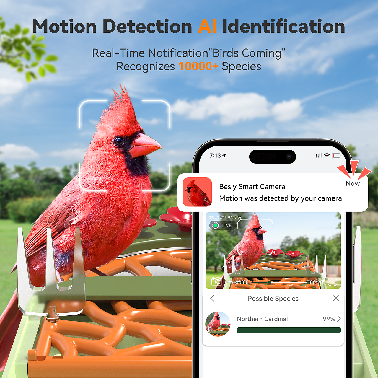 双层屋顶喂鸟器