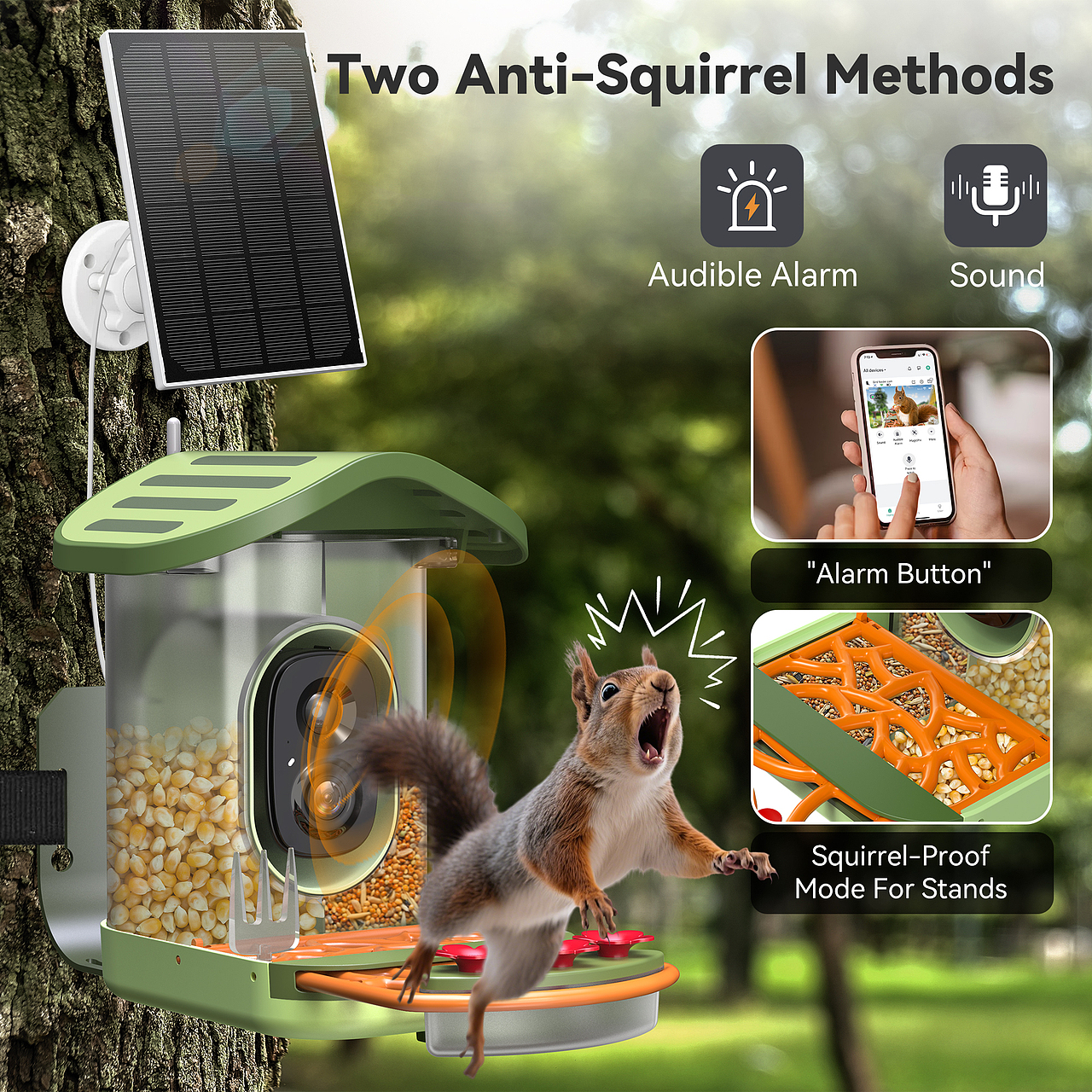 双层屋顶喂鸟器