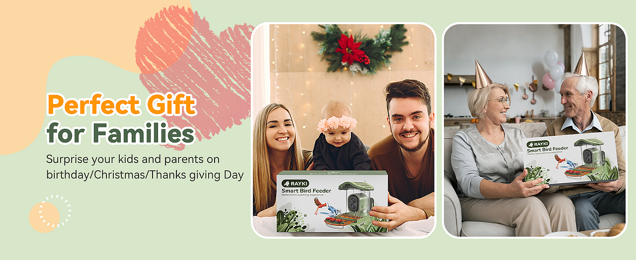 双层屋顶喂鸟器