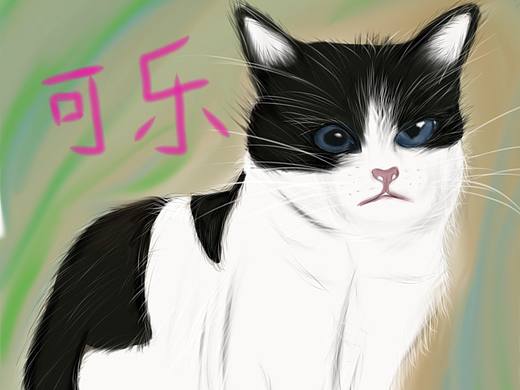 猫咪萌物
