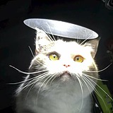 BBBBBBai的头像