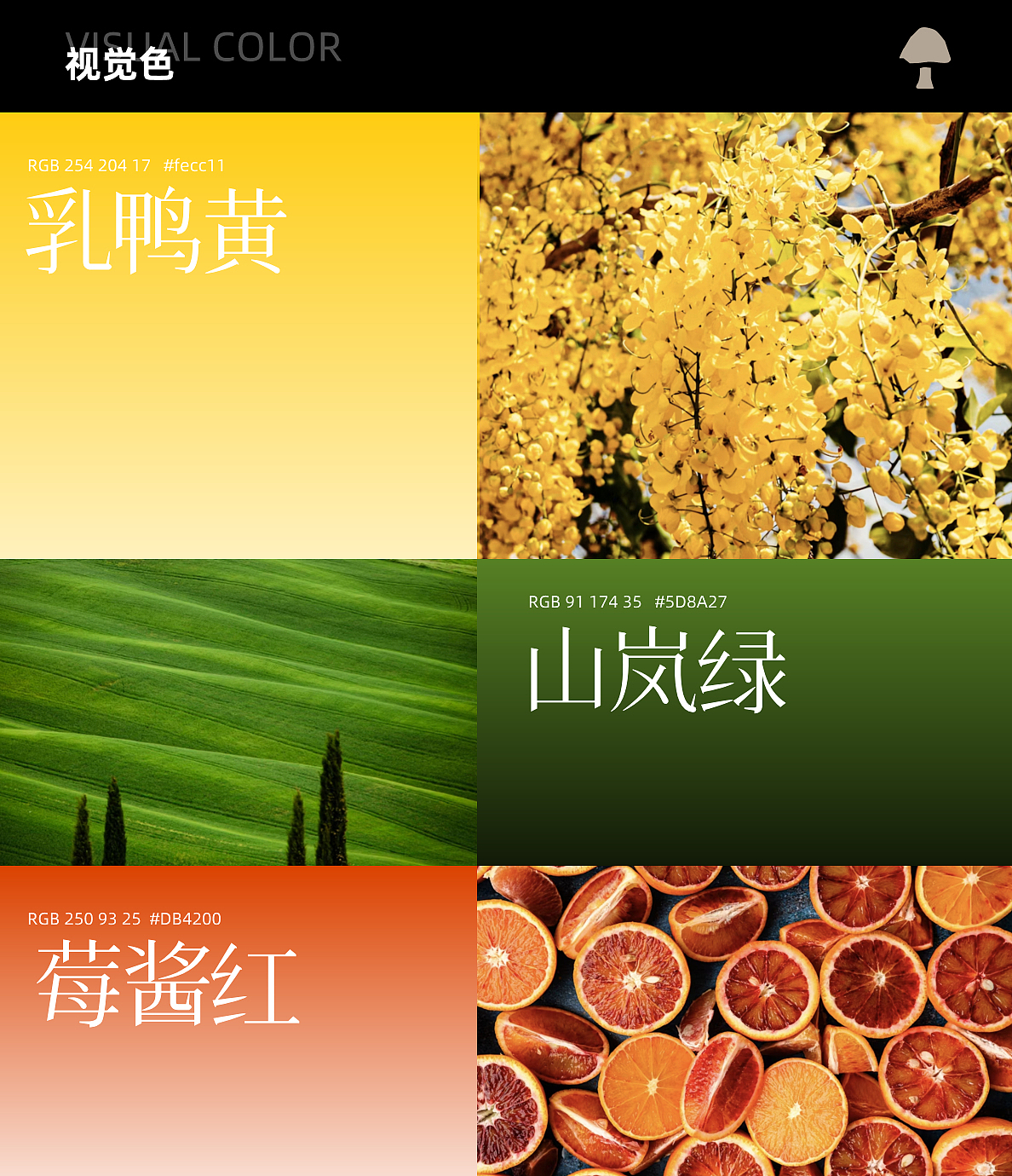 伦敦艺术大学丨研一丨数字媒体丨吴同学丨向量设计（图ZMzk2NTE2NDQ4） - AI作品 - 站酷设计师武汉向量设计原创素材 - 站酷ZCOOL