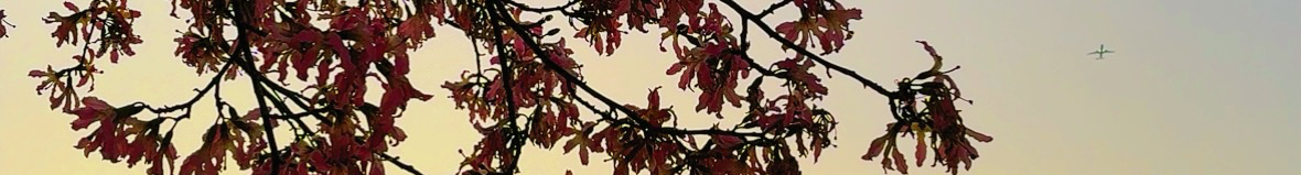 喵啡的个人主页（封面预览） - 主页封面设置 - 站酷设计师喵啡原创素材 - 站酷ZCOOL