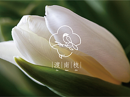 渡南枝｜LOGO｜VI 设计