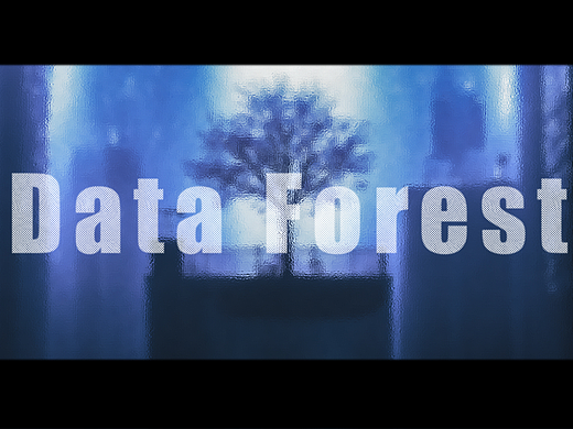 《数据森林-Data Forest》
