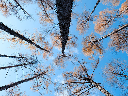 打扫天空