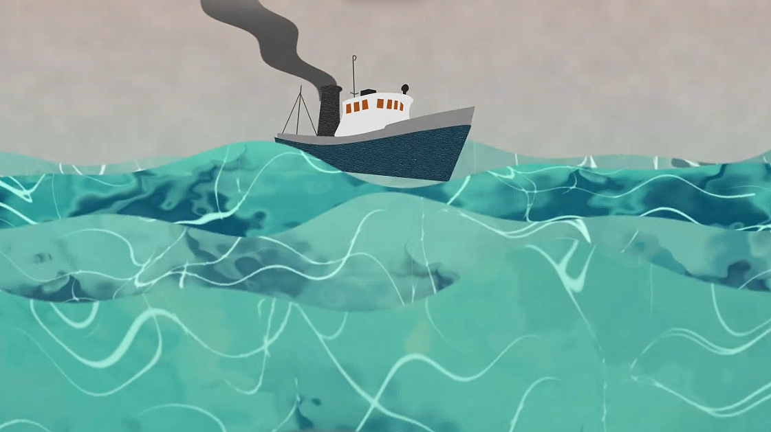 珊瑚白化保护组织video